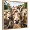 Funny Deer Selfie by The Creative Bunch Studio