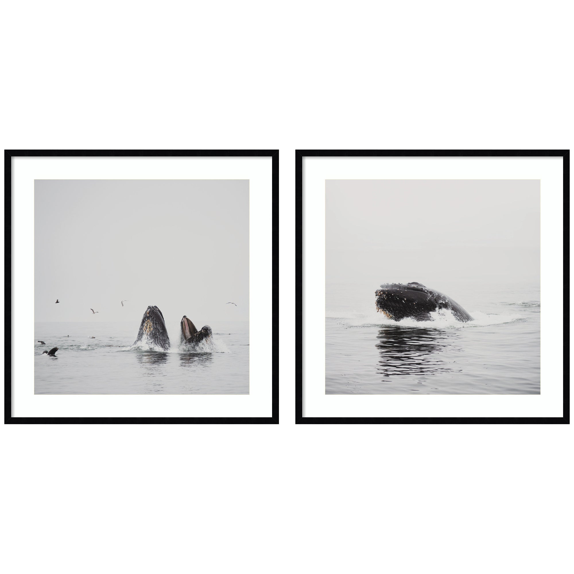 Framed Art Set Svelte Noir Black 2 Piece Set 33x33 1