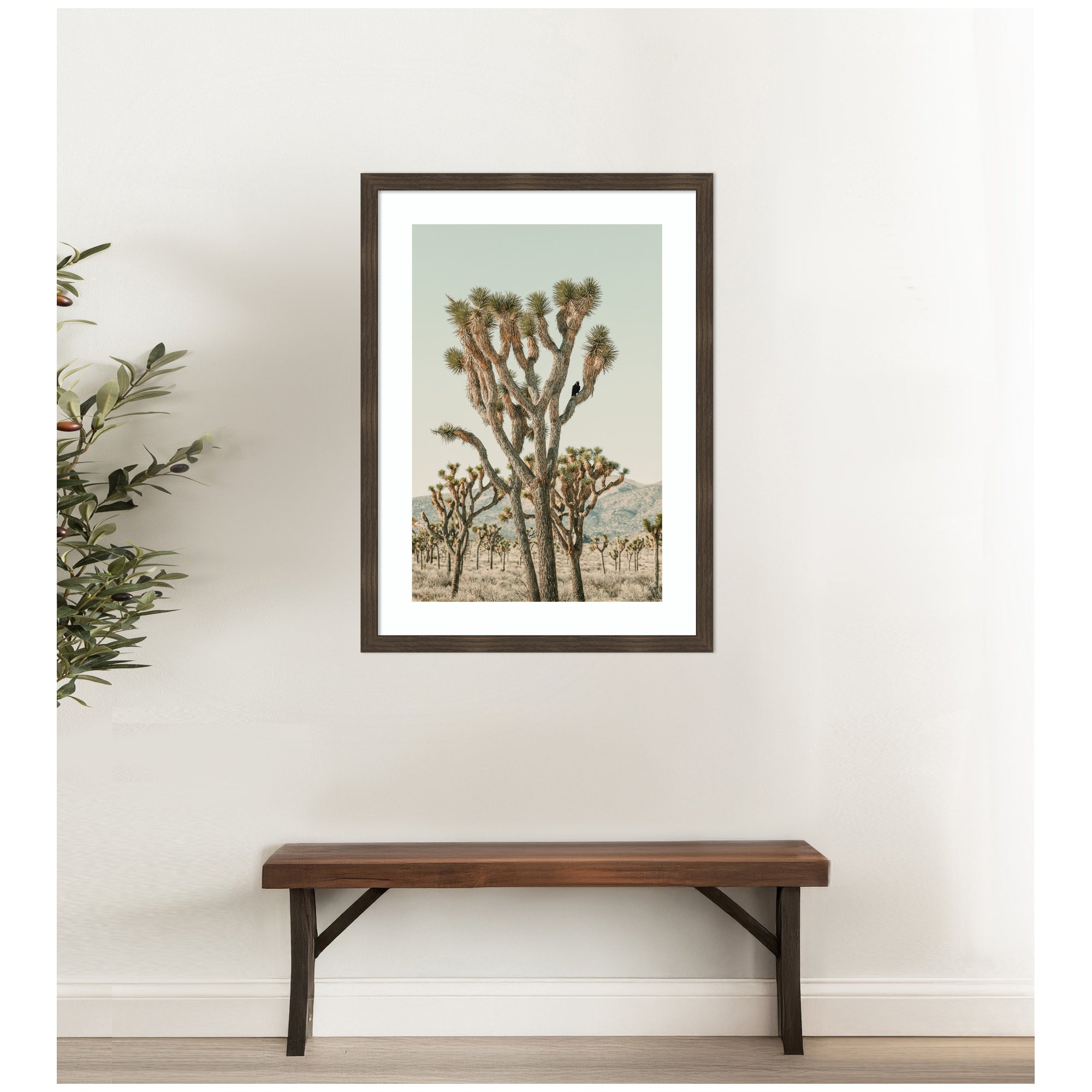 Joshua Tree With Crow by Alicia Bock Framed Wall Art Print