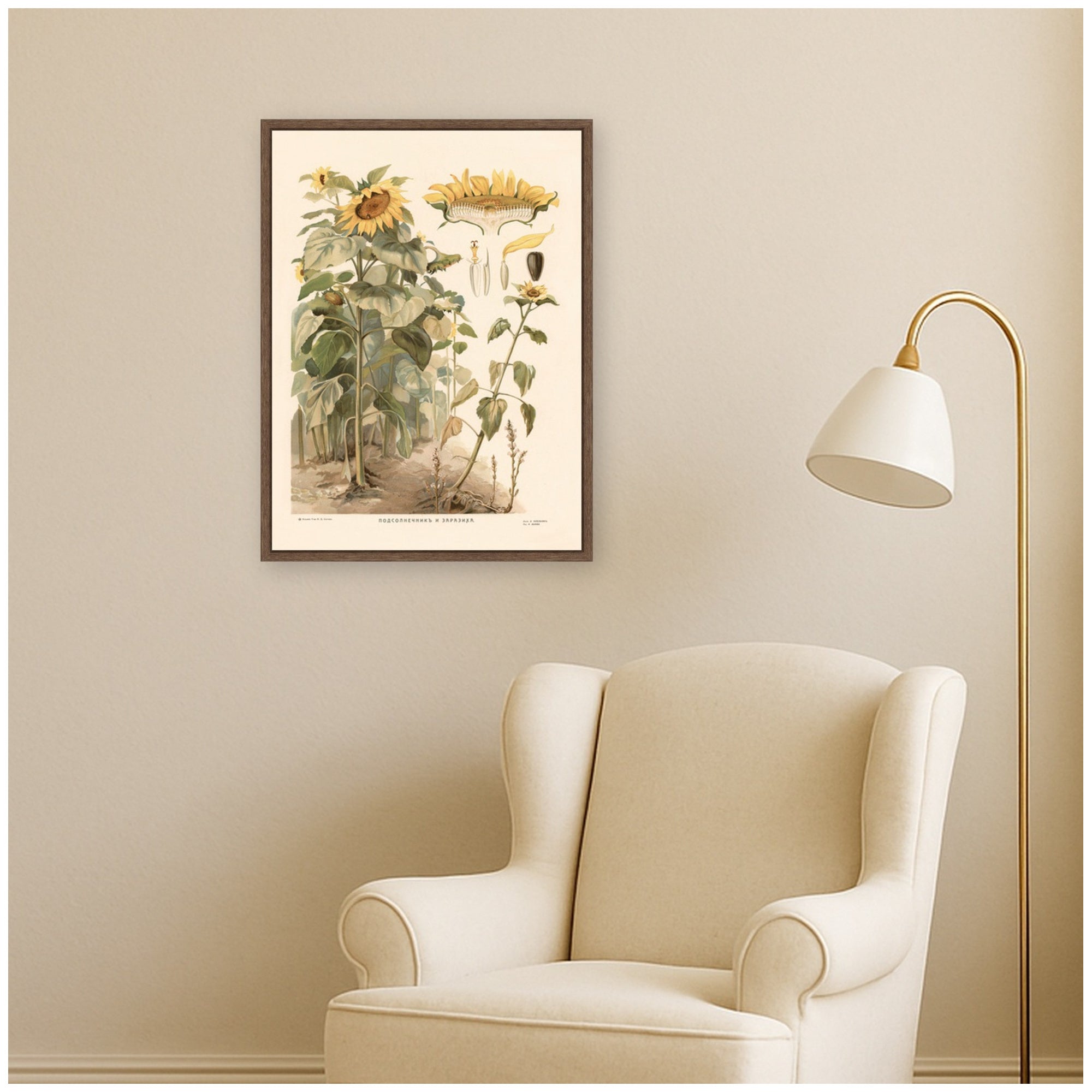 Framed Canvas 18x24 Sylvie Walnut 6