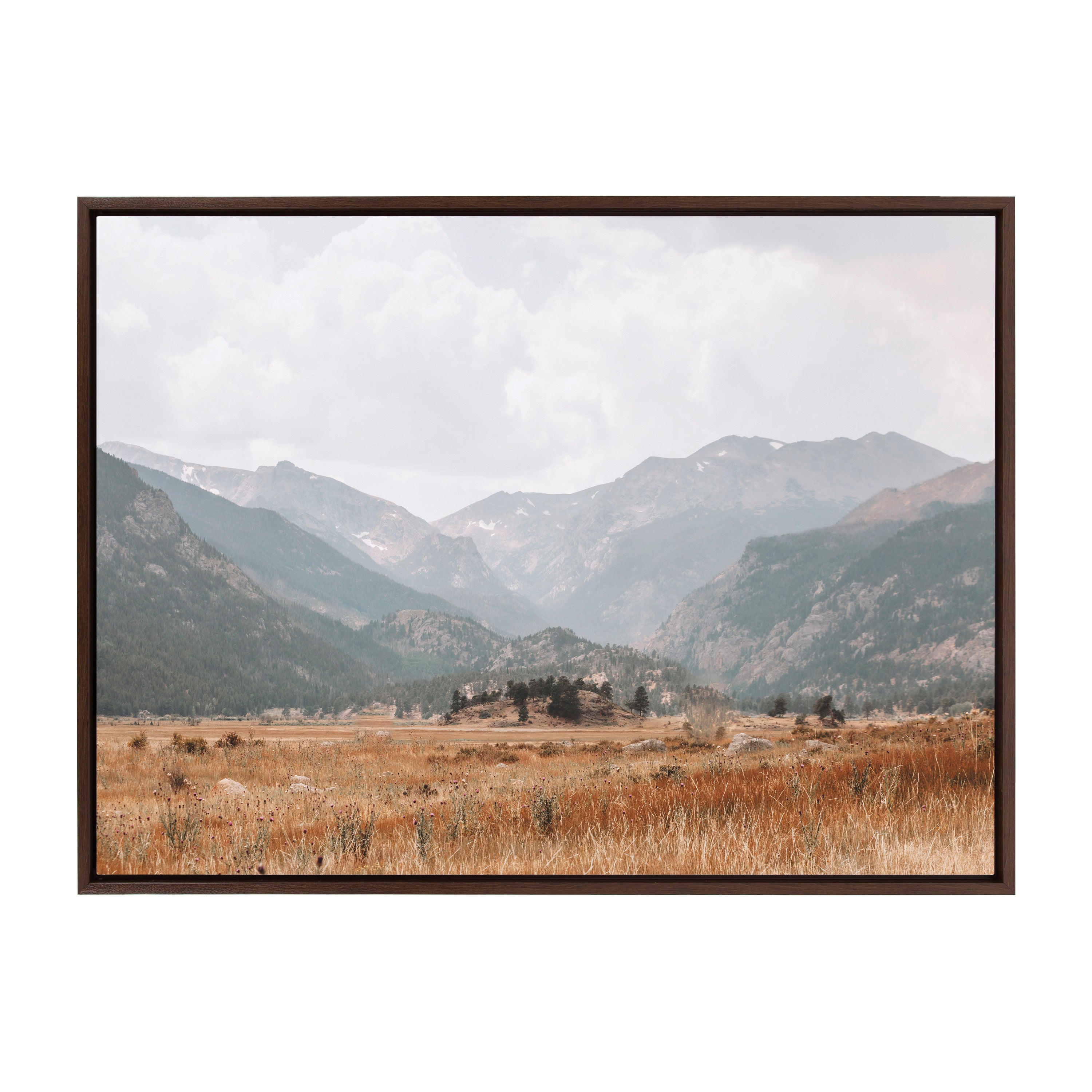 Framed Canvas 28x38 Sylvie Walnut 2