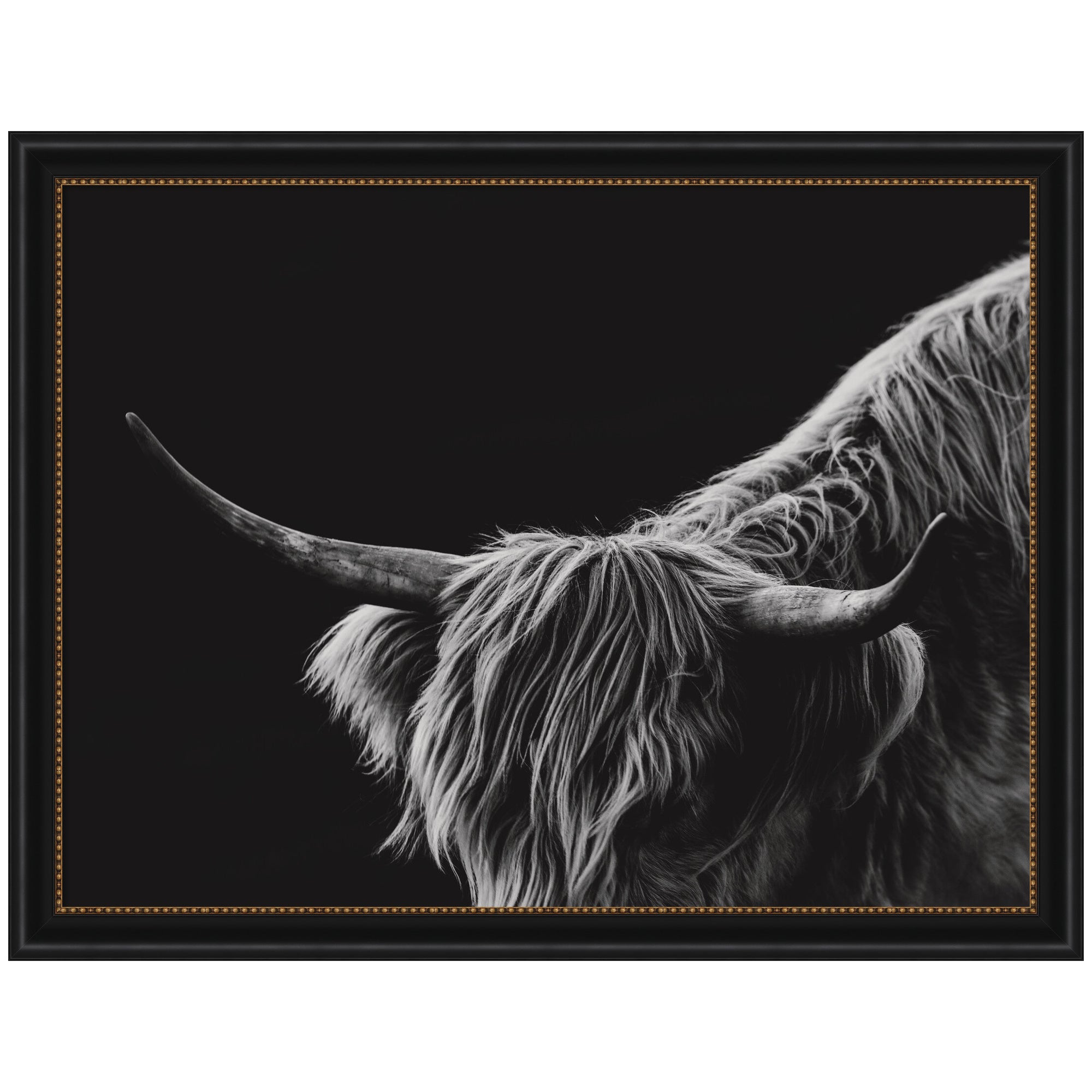 Scottish Highland No. 6 by Crystal Lynn Collins Framed Wall Art Print