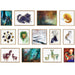 Framed Canvas Sylvie Natural 18x24 4
