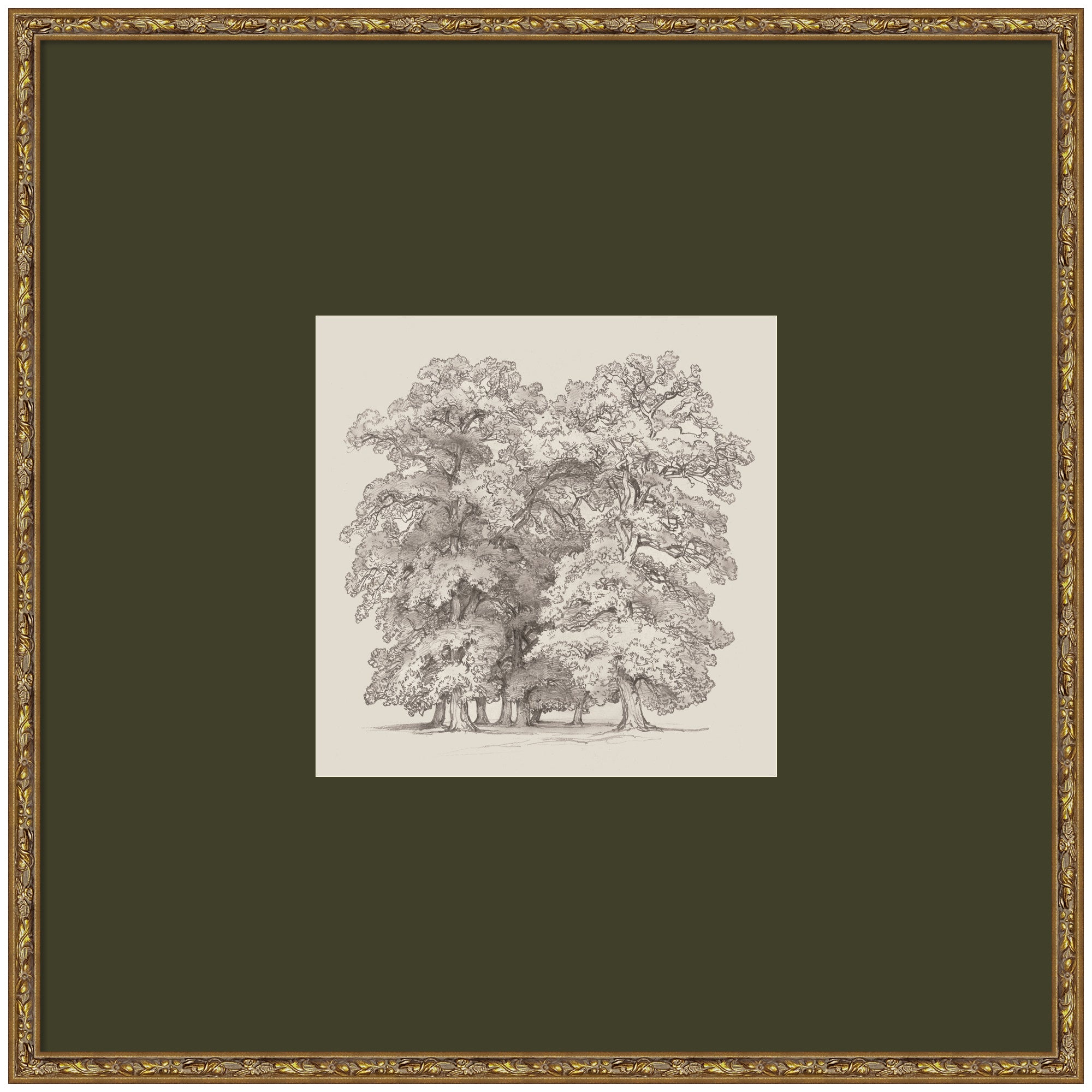 Framed Art 25x25 Belvedere Bronze 1