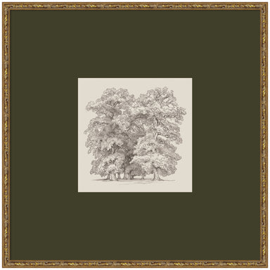 Framed Art 25x25 Belvedere Bronze 1