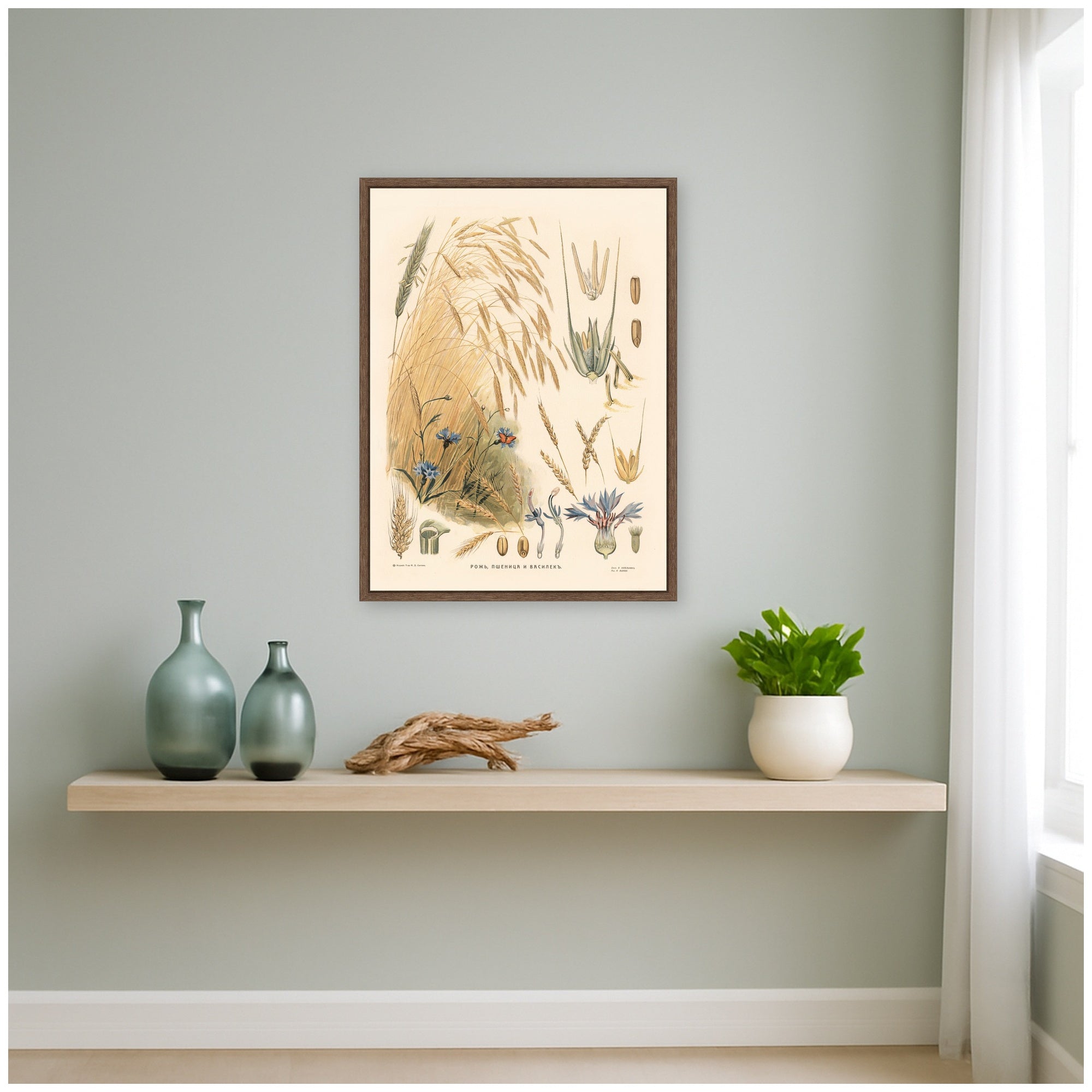 Framed Canvas 18x24 Sylvie Walnut 6