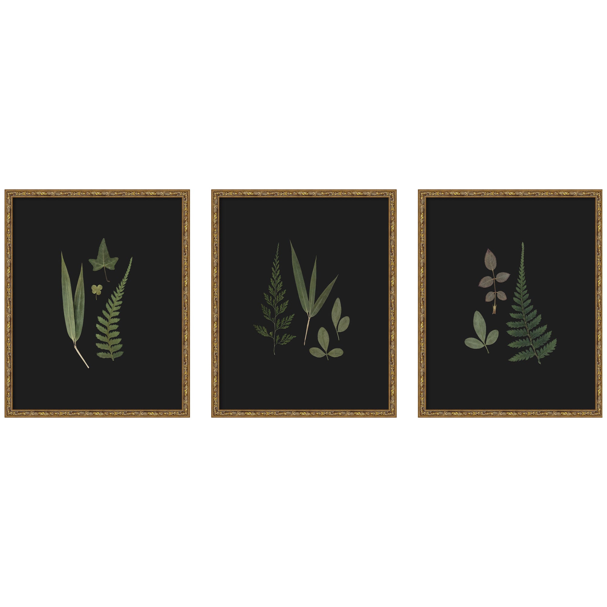Framed Art Set 3 Piece Set 17x21 Belvedere Bronze 1