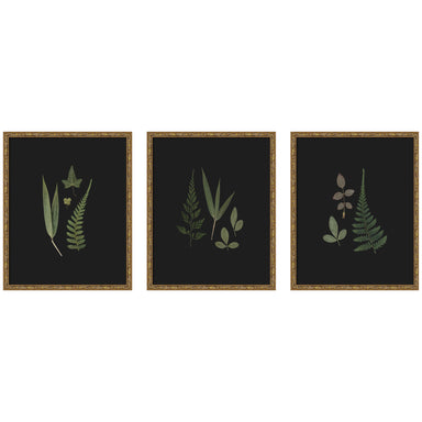 Framed Art Set 3 Piece Set 17x21 Belvedere Bronze 1