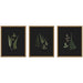 Framed Art Set 3 Piece Set 17x21 Belvedere Bronze 1