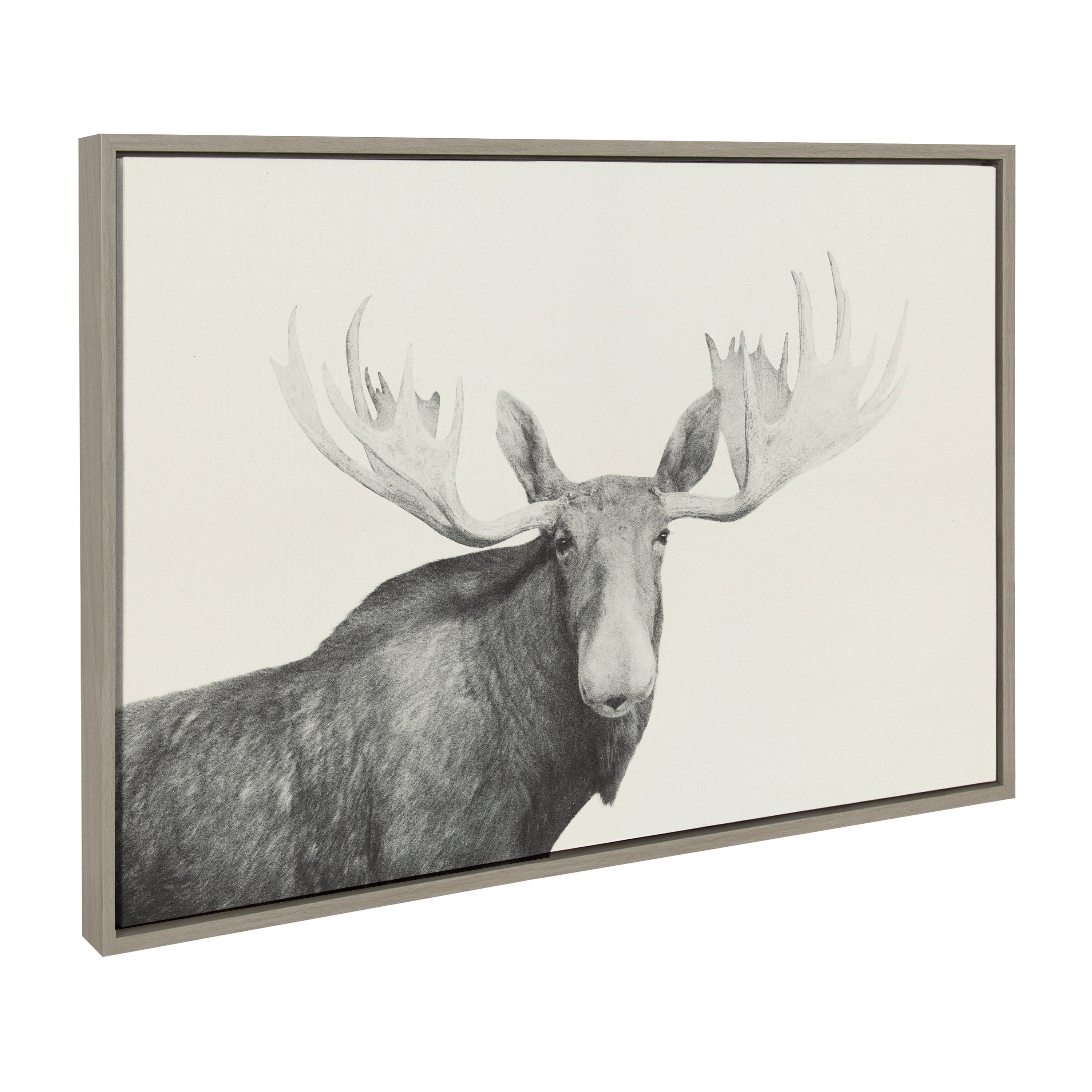 Framed Canvas Sylvie Graywash 23x33 2