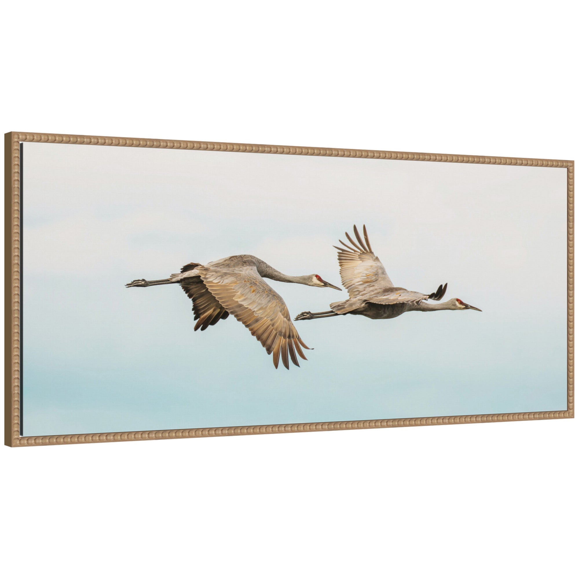 Cranes Flying Panel by Emiko and Mark Franzen F2 Images Framed Canvas Wall Art Print