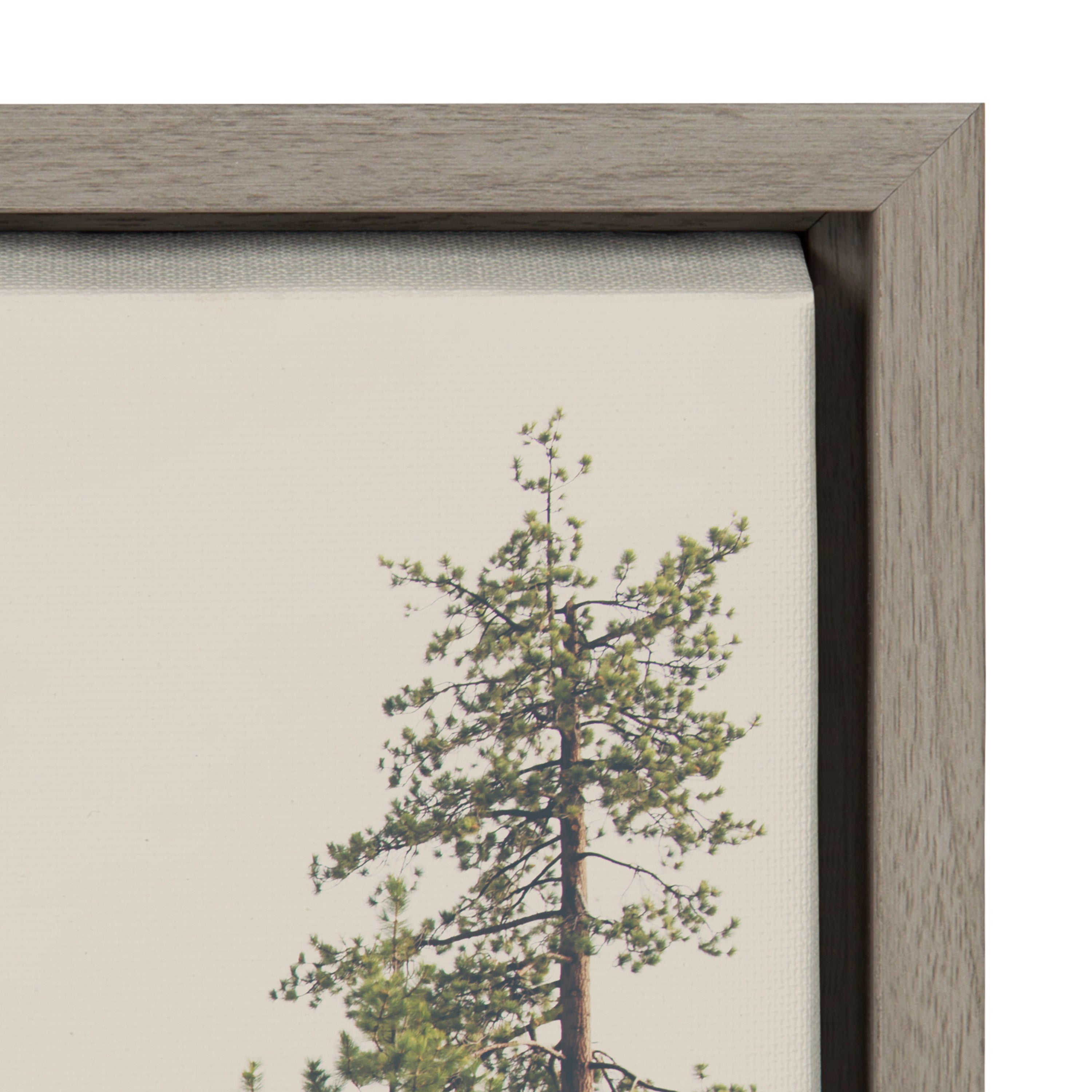 Framed Canvas Sylvie Graywash 28x38 3