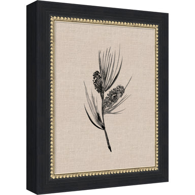 Mounted Canvas Belmont Black 10x12 1