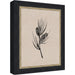 Mounted Canvas Belmont Black 10x12 1