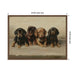 Framed Canvas 24x18 Sylvie Walnut 2