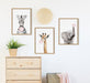 Framed Canvas Sylvie Natural 18x24 6