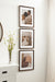 Wall Frame Bronze 14x18 matted to 11x14 7