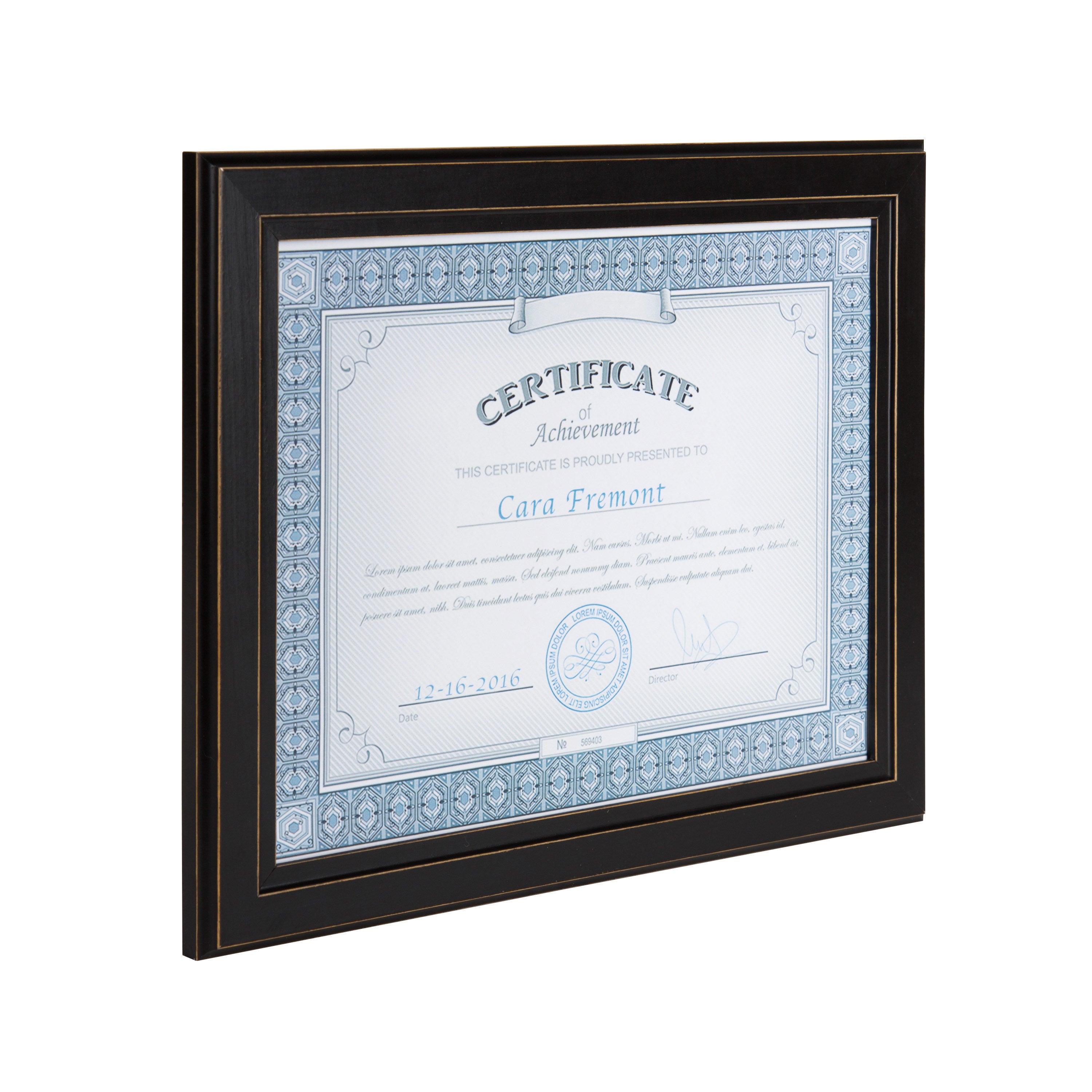 Document Frame Distressed Black 8.5x11 3