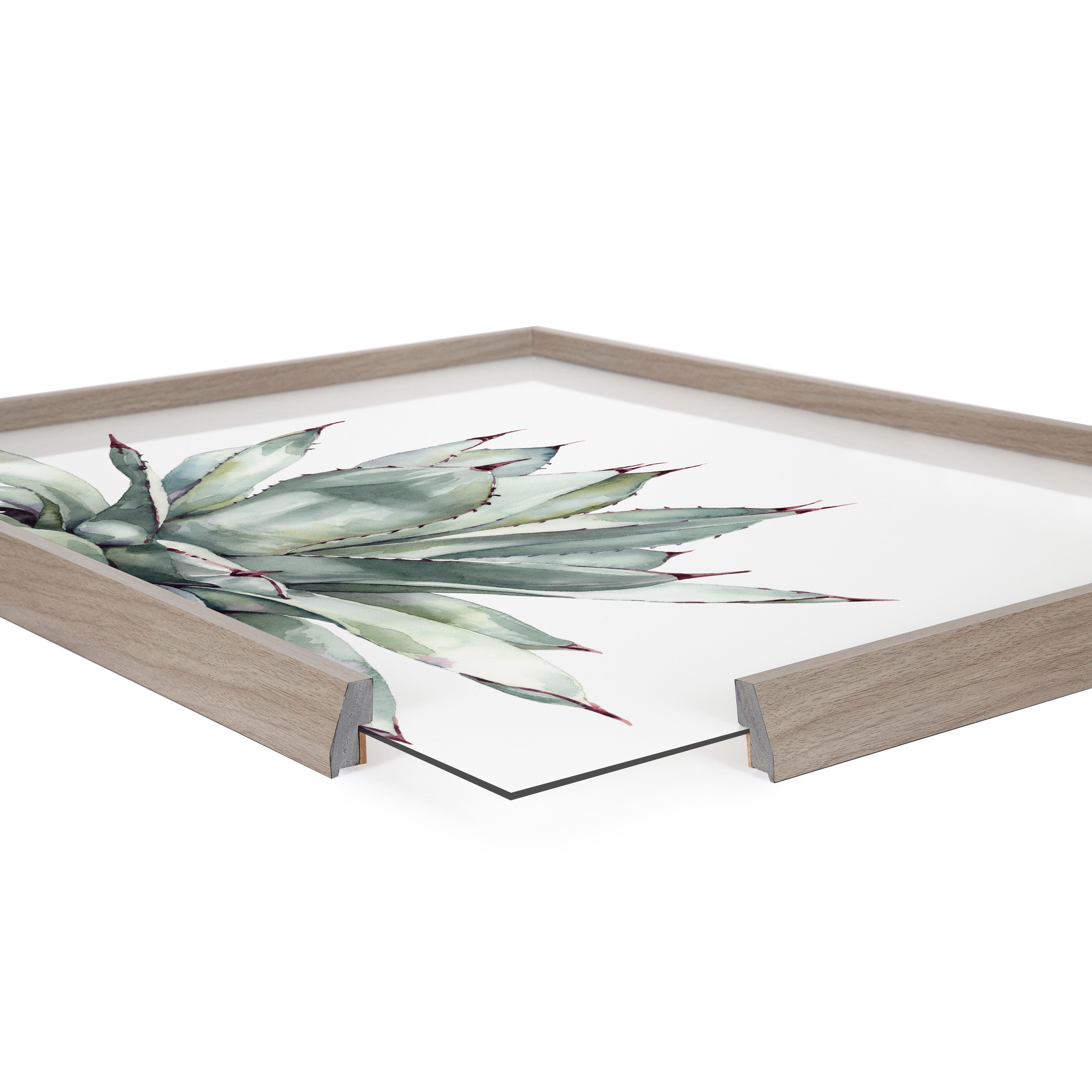 Blake Parrys Agave Framed Printed Glass by Emily Marie Watercolors