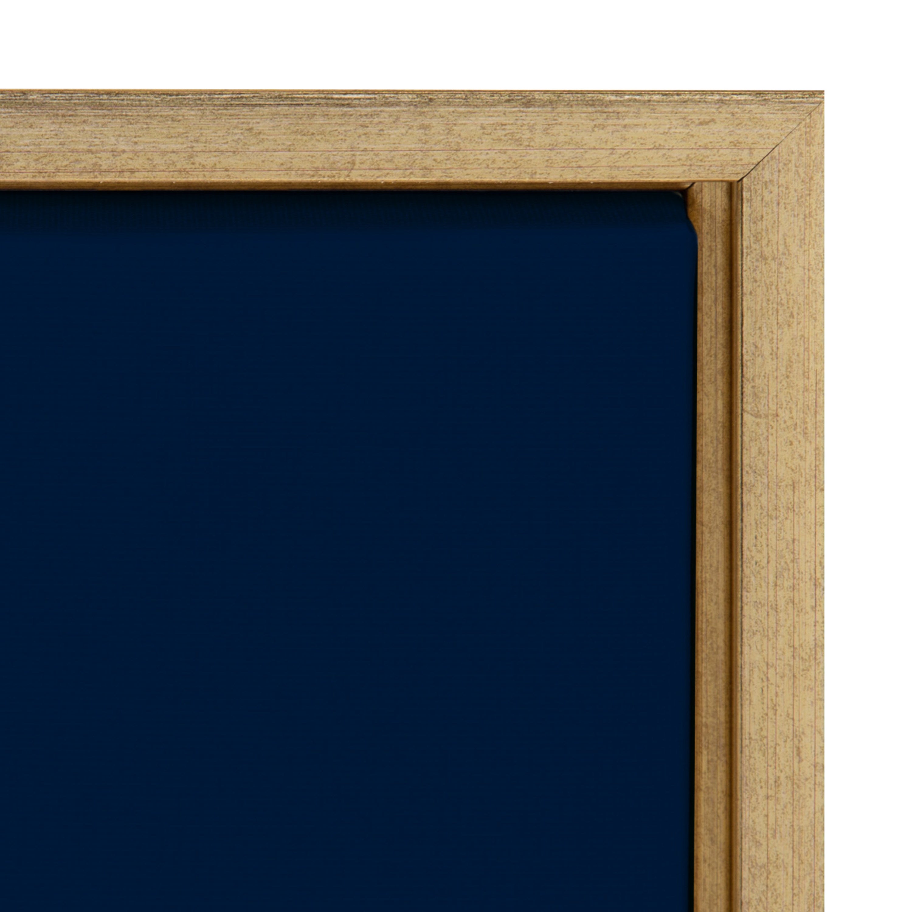 Sylvie Floralis C Framed Canvas by Mia Charro