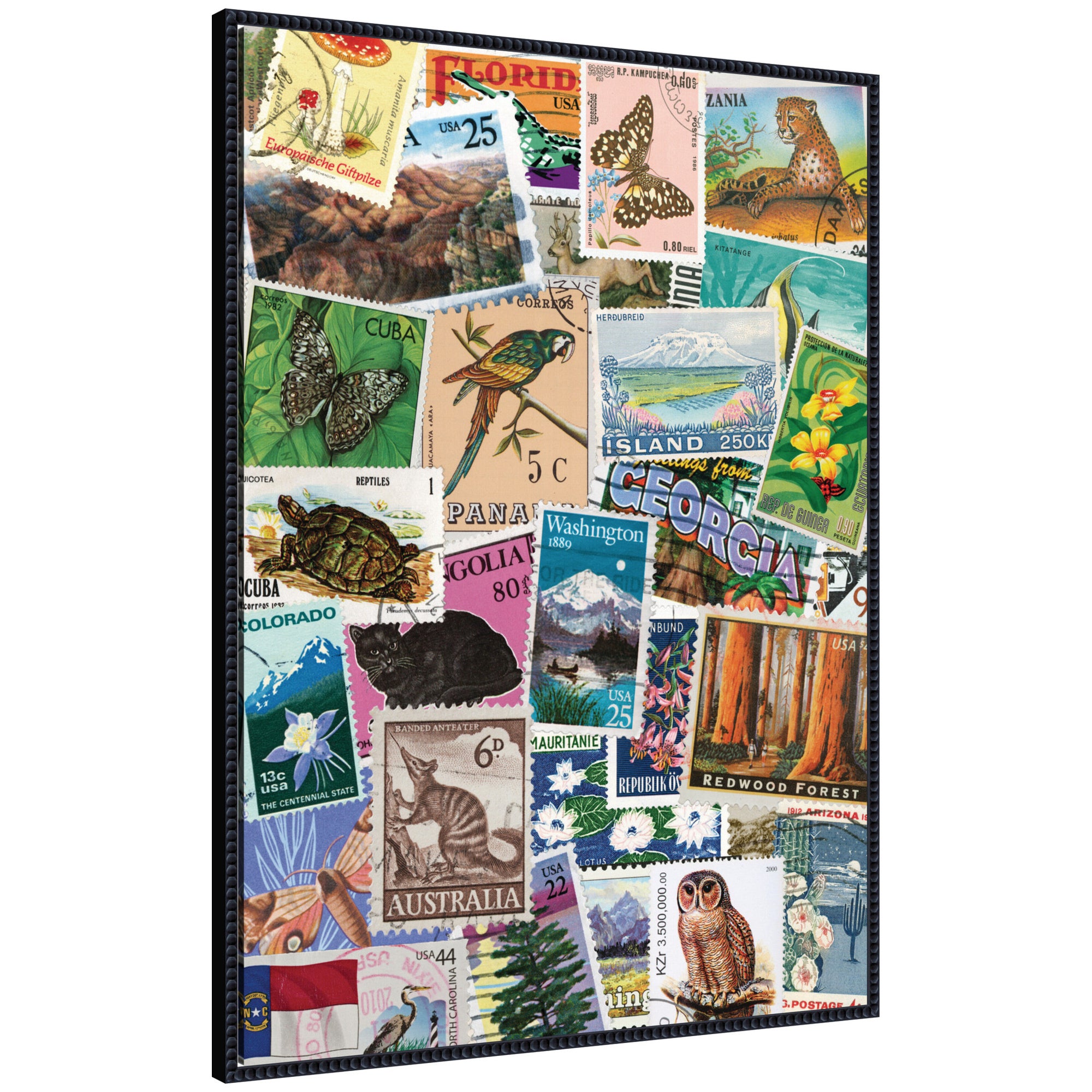 Vintage Stamps by Megan Ryan Framed Canvas Wall Art Print