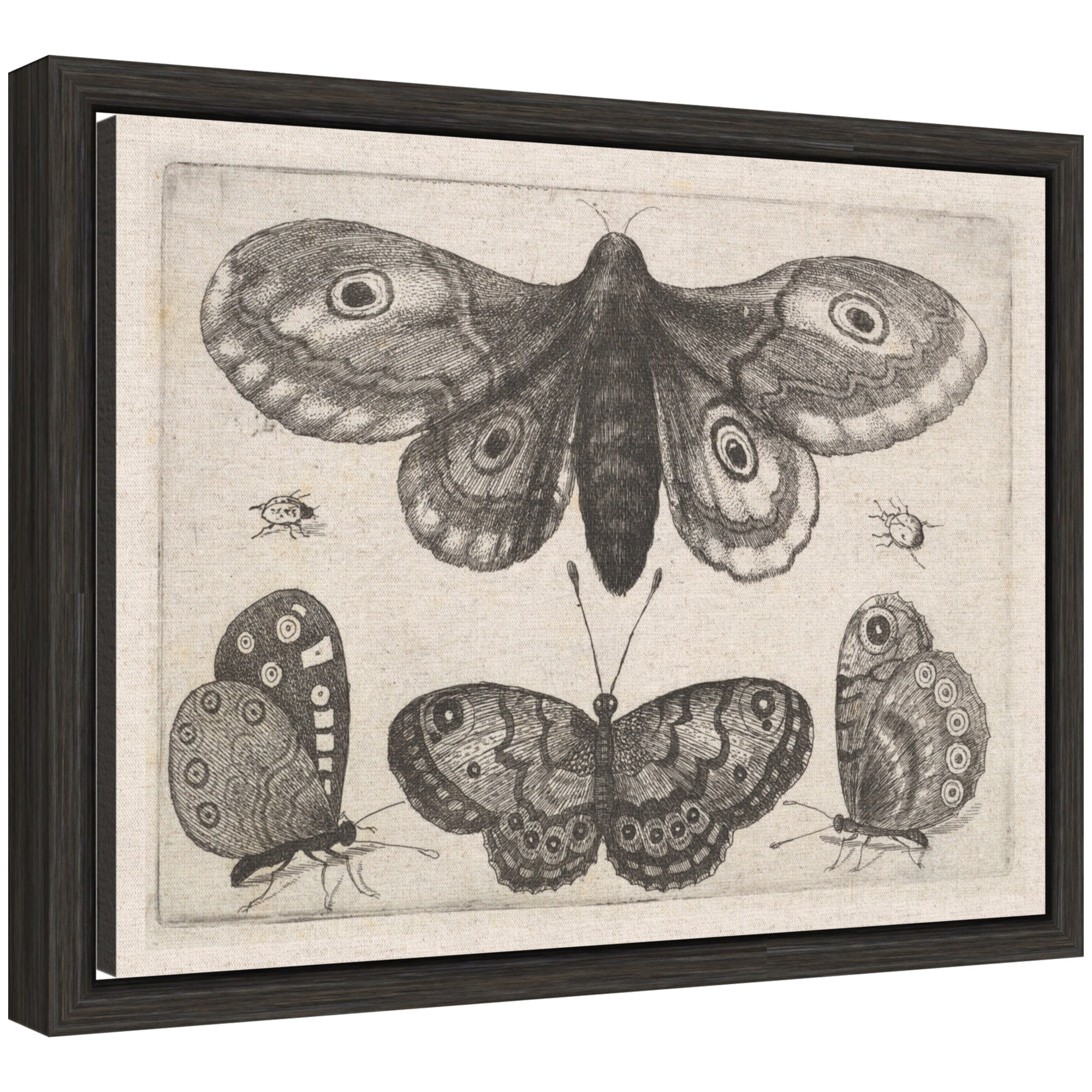 Framed Canvas 13x10 Sylvie Dark Gray 1