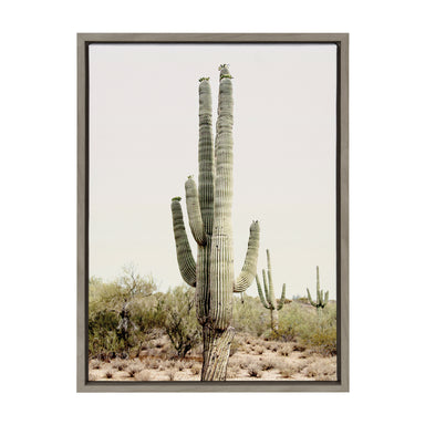 Framed Canvas Sylvie Graywash 18x24 2