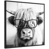 Sylvie Black and White Highland Cow in Reading Glasses Framed Canvas by The Creative Bunch Studio