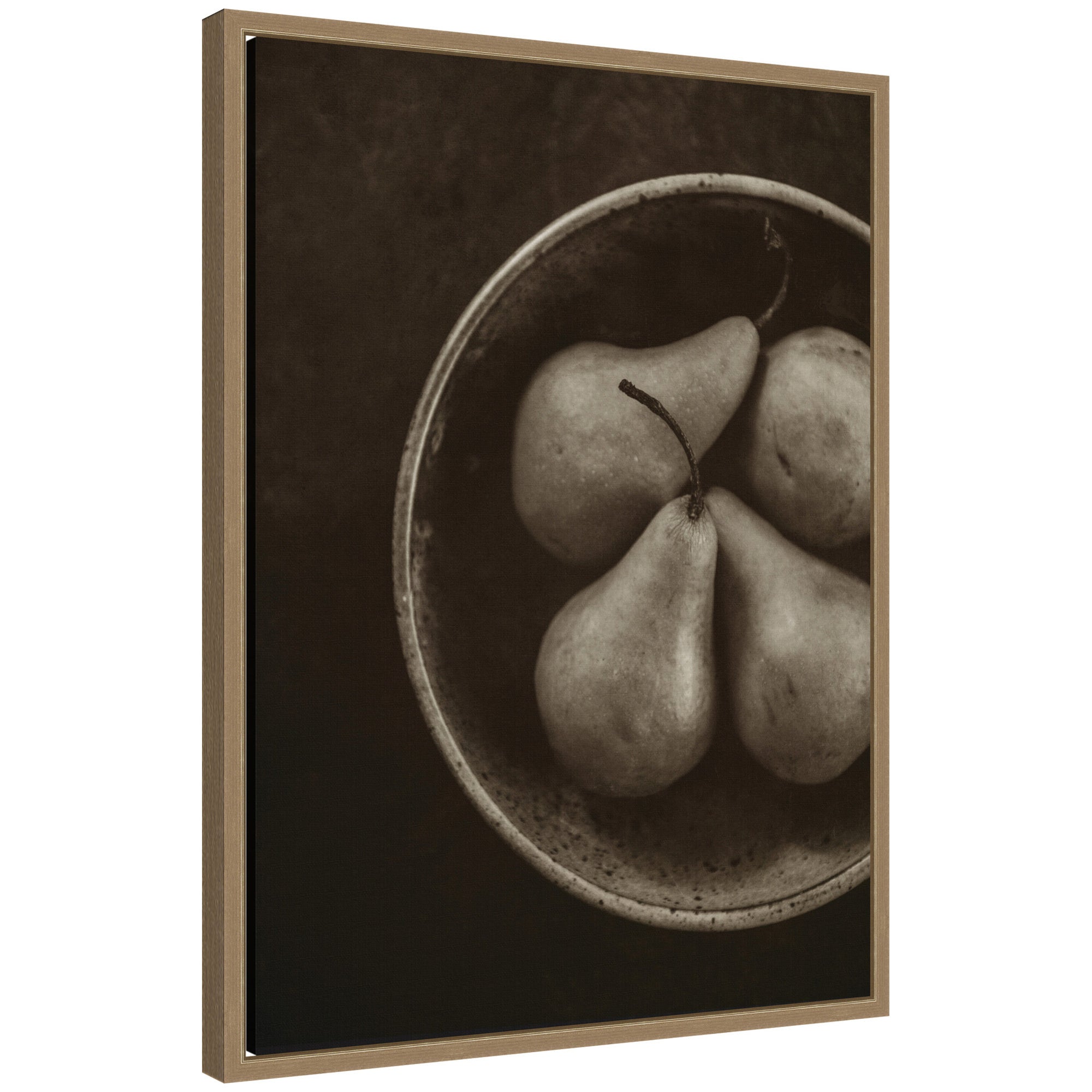 Framed Canvas 18x24 Sylvie Dark Gold 1