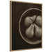 Framed Canvas 18x24 Sylvie Dark Gold 1