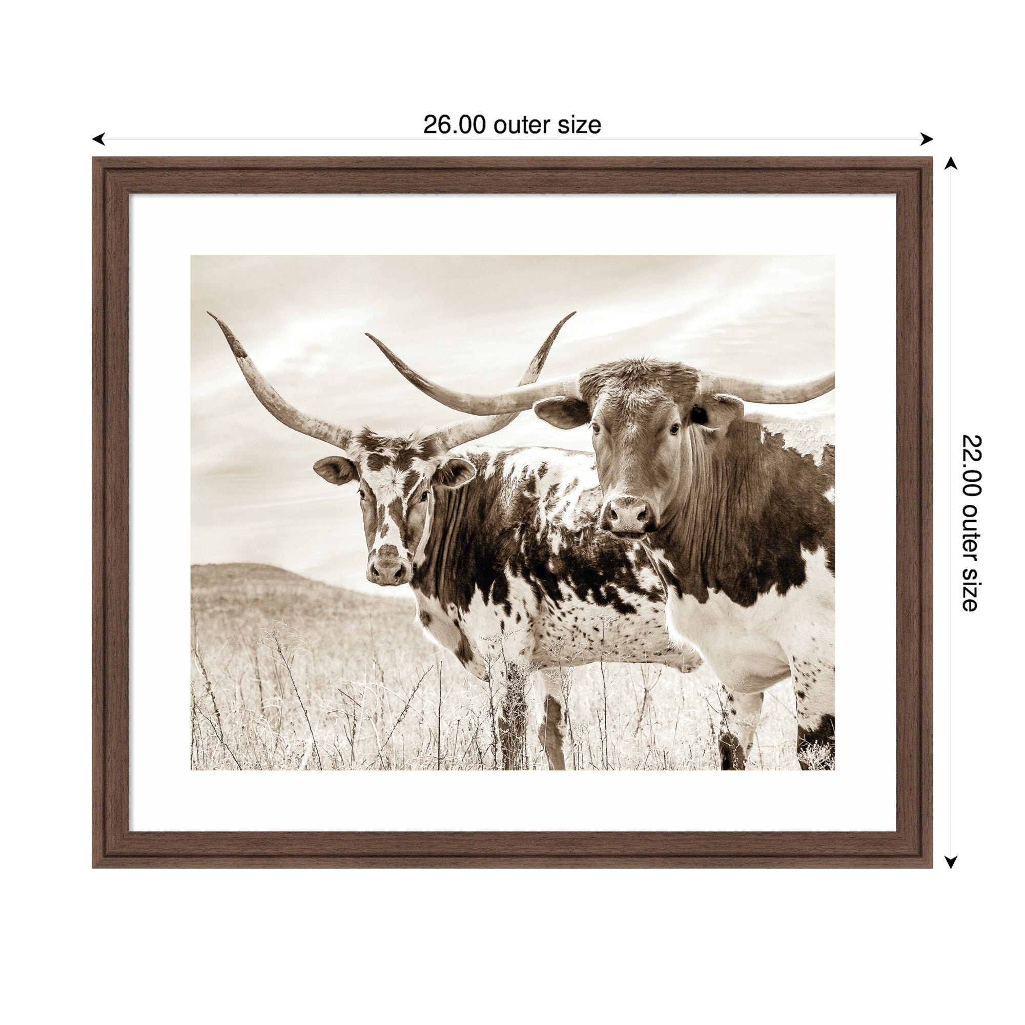 Sepia Texas Longhorn Cattle in Pasture by The Creative Bunch Studio Framed Wall Art Print