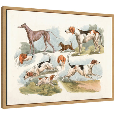 Framed Canvas 24x18 Sylvie Natural 1