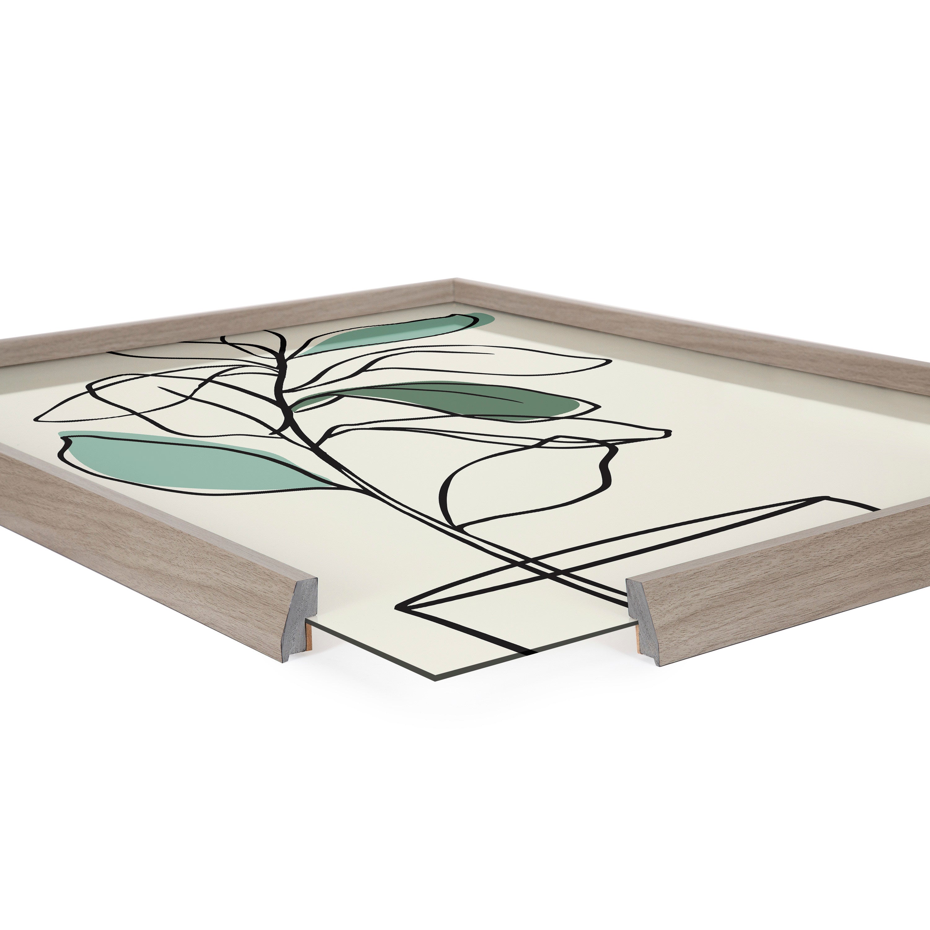 Blake Tranquil Fiddle Leaf Framed Printed Glass by Elizabeth Silver