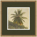 Framed Art 26x26 Castellan Gold 1