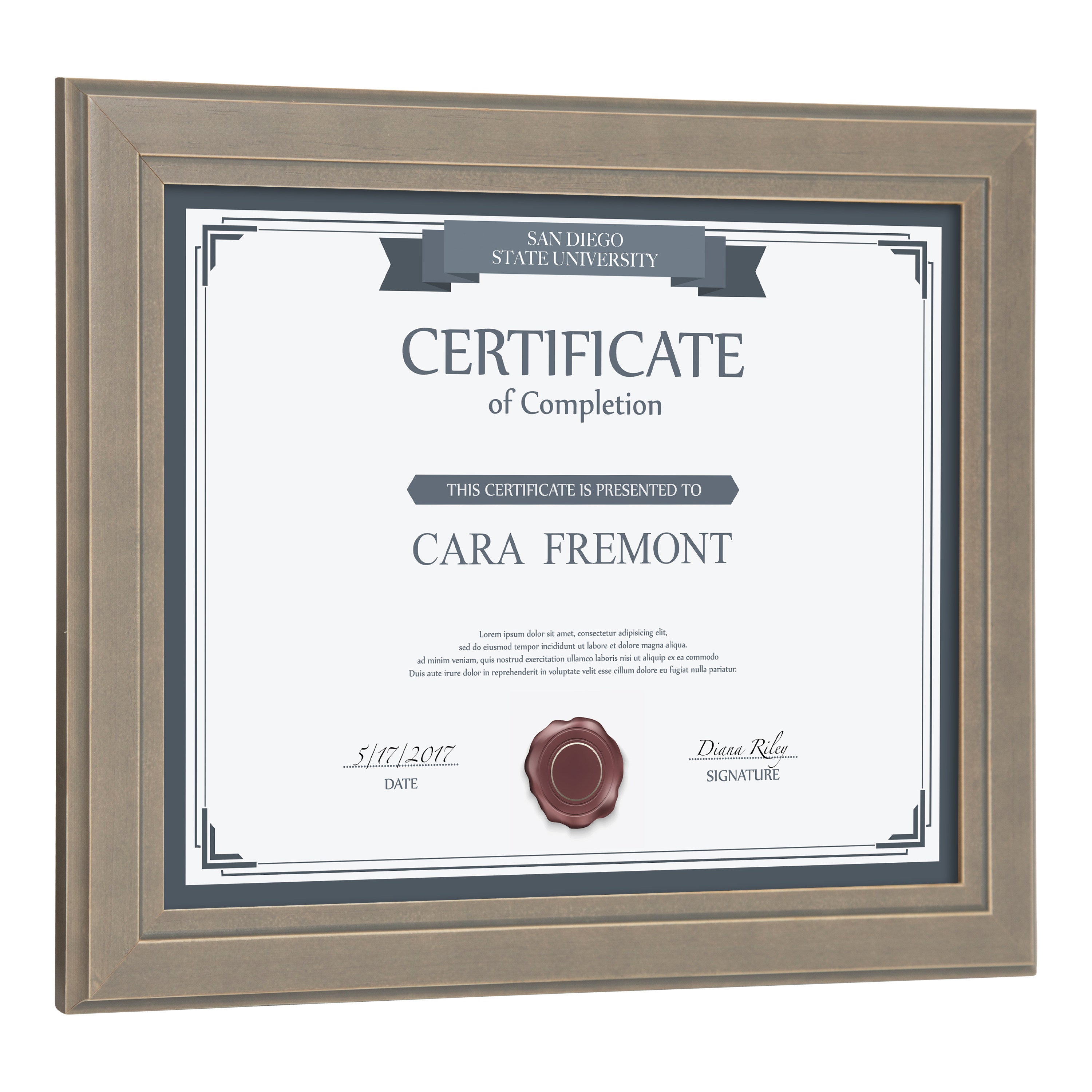 Document Frame Distressed Gray 8.5x11 3
