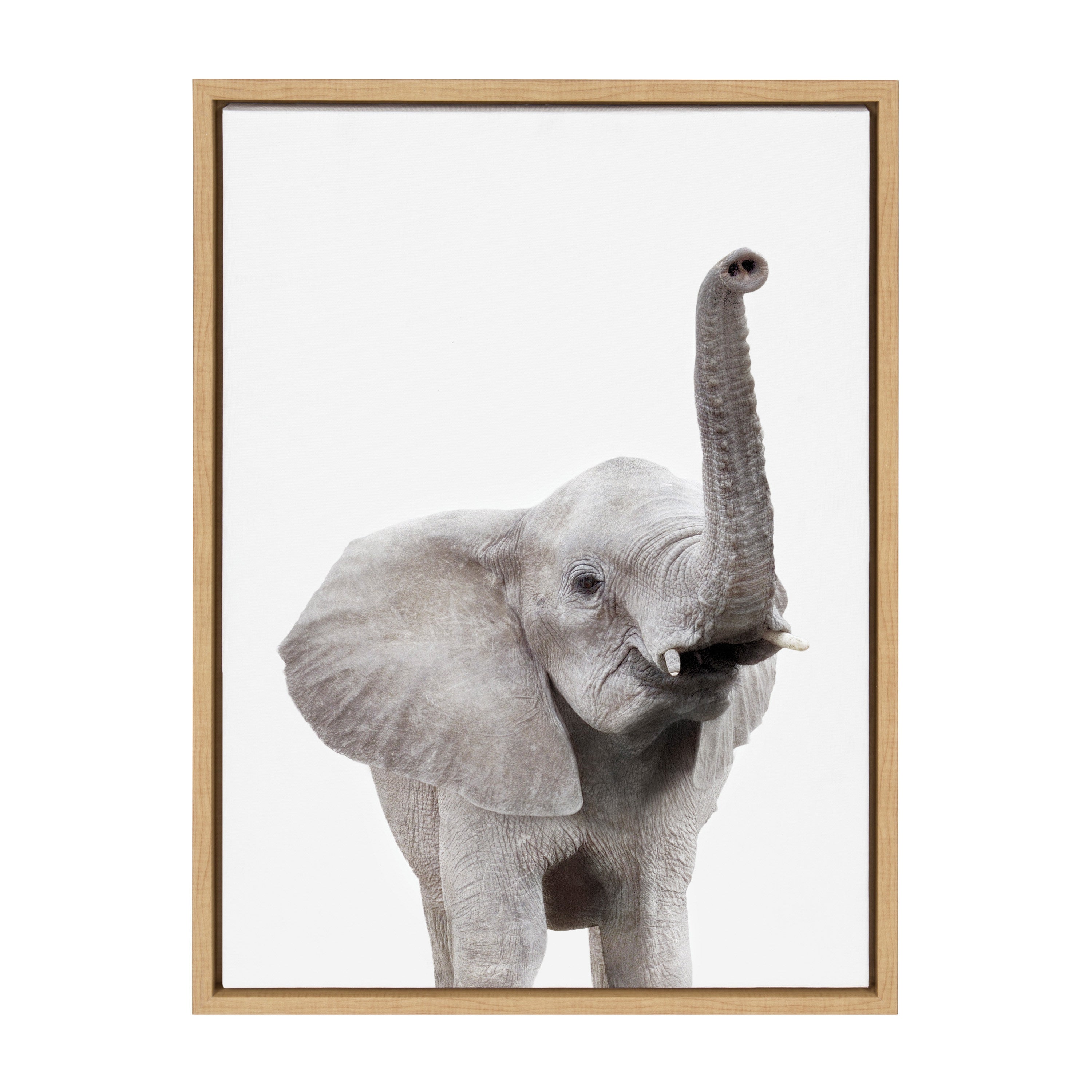 Sylvie Young Elephant Framed Canvas by Amy Peterson