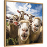Funny Lamb Selfie by The Creative Bunch Studio
