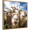 Funny Lamb Selfie by The Creative Bunch Studio