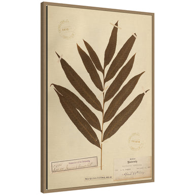 Framed Canvas 23x33 Sylvie Dark Gold 1