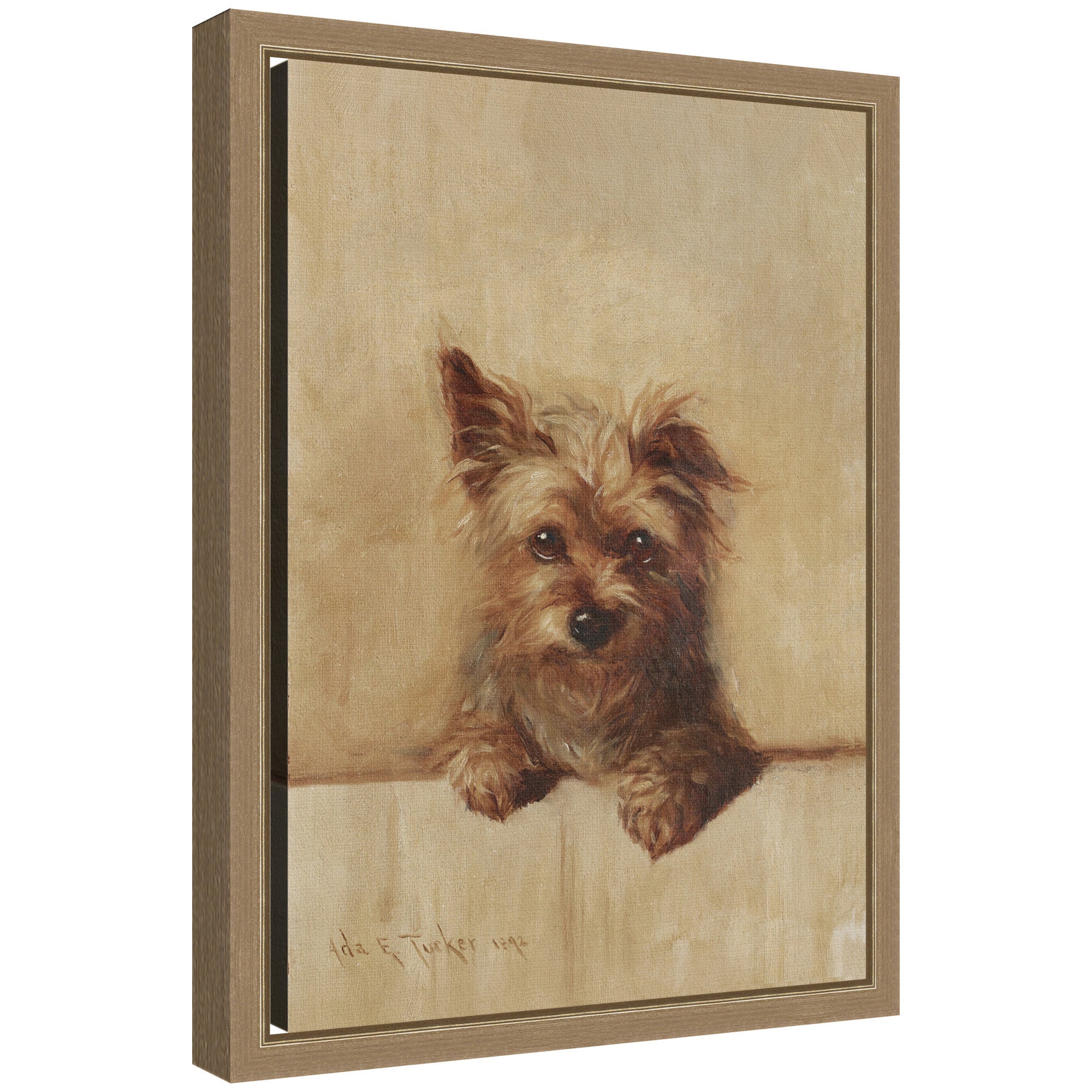 Framed Canvas 10x13 Sylvie Dark Gold 1