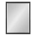 Rectangle Mirror Black 18x24 5