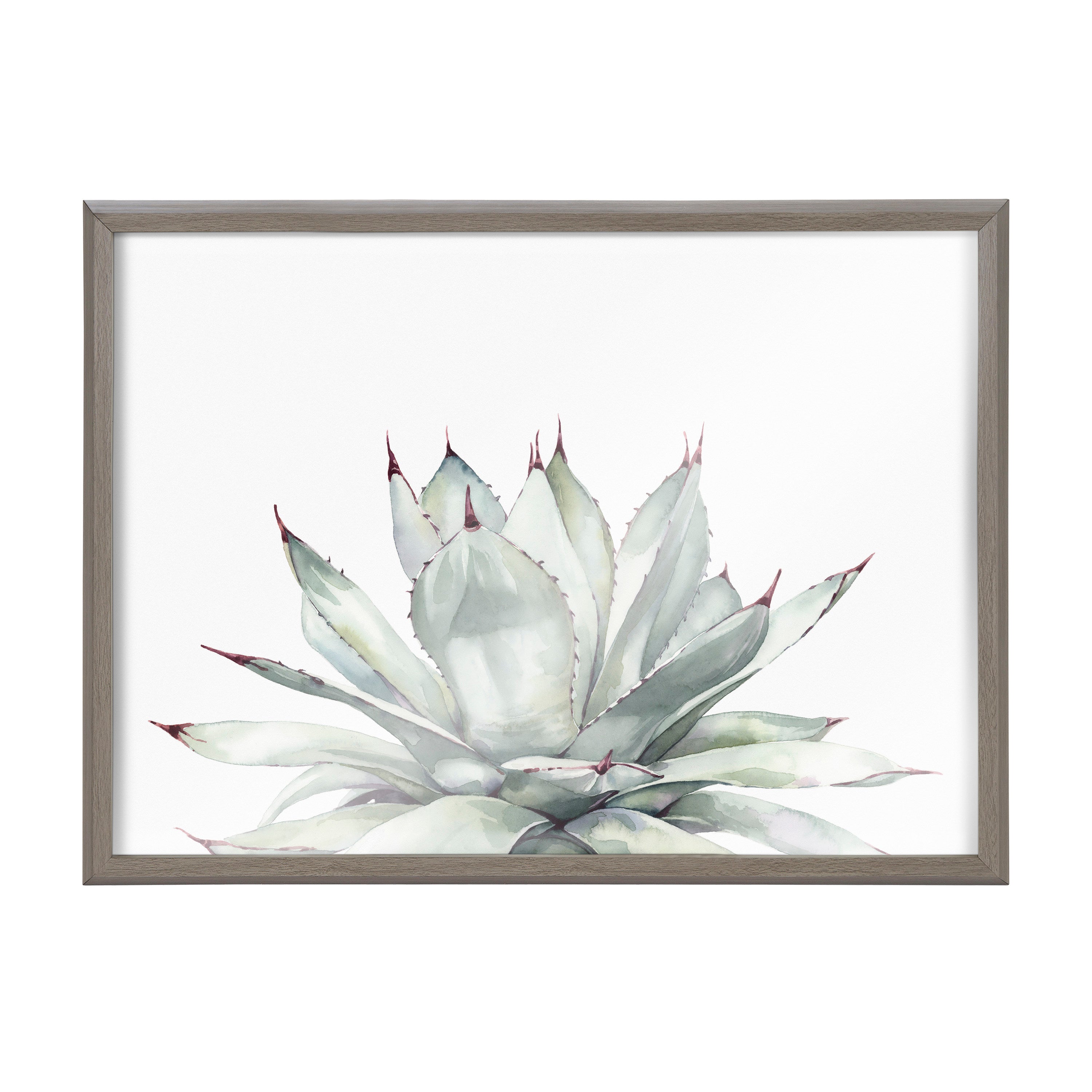 Blake Parrys Agave Framed Printed Glass by Emily Marie Watercolors