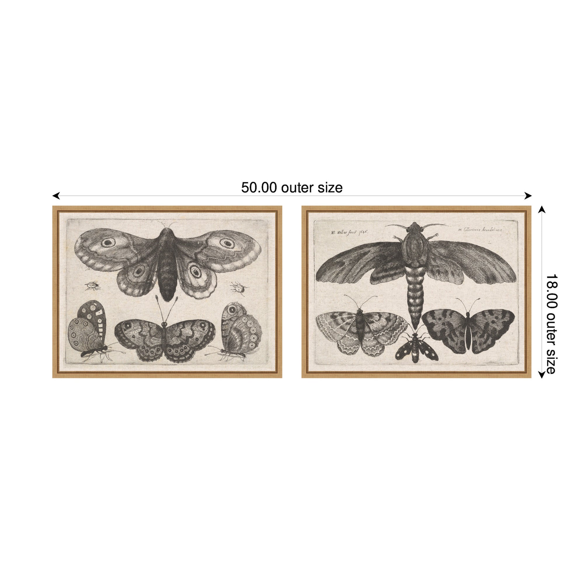 Art Set 2 Piece Set 18x24 Sylvie Natural 2
