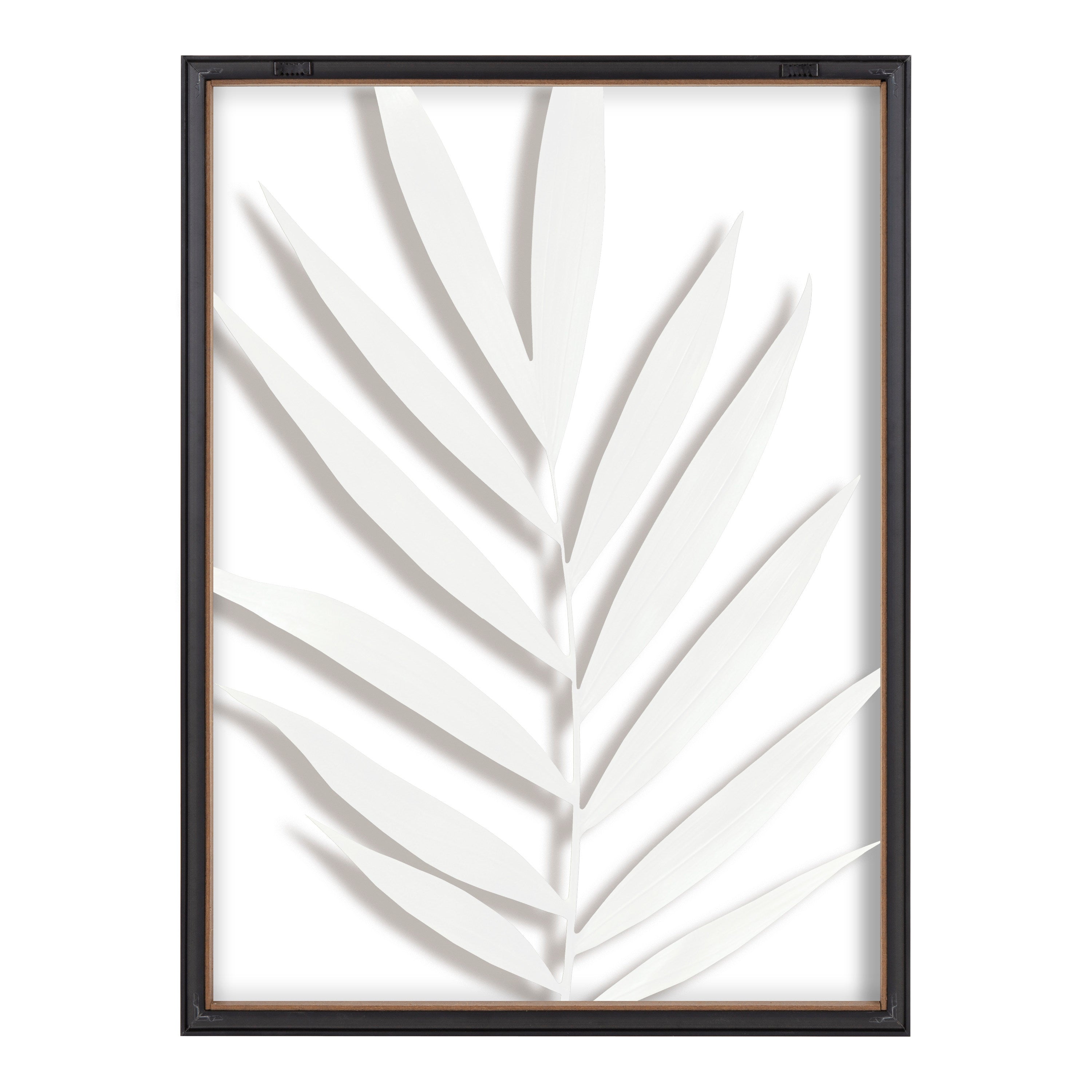 Blake Botanical 5F Framed Printed Glass by Amy Peterson