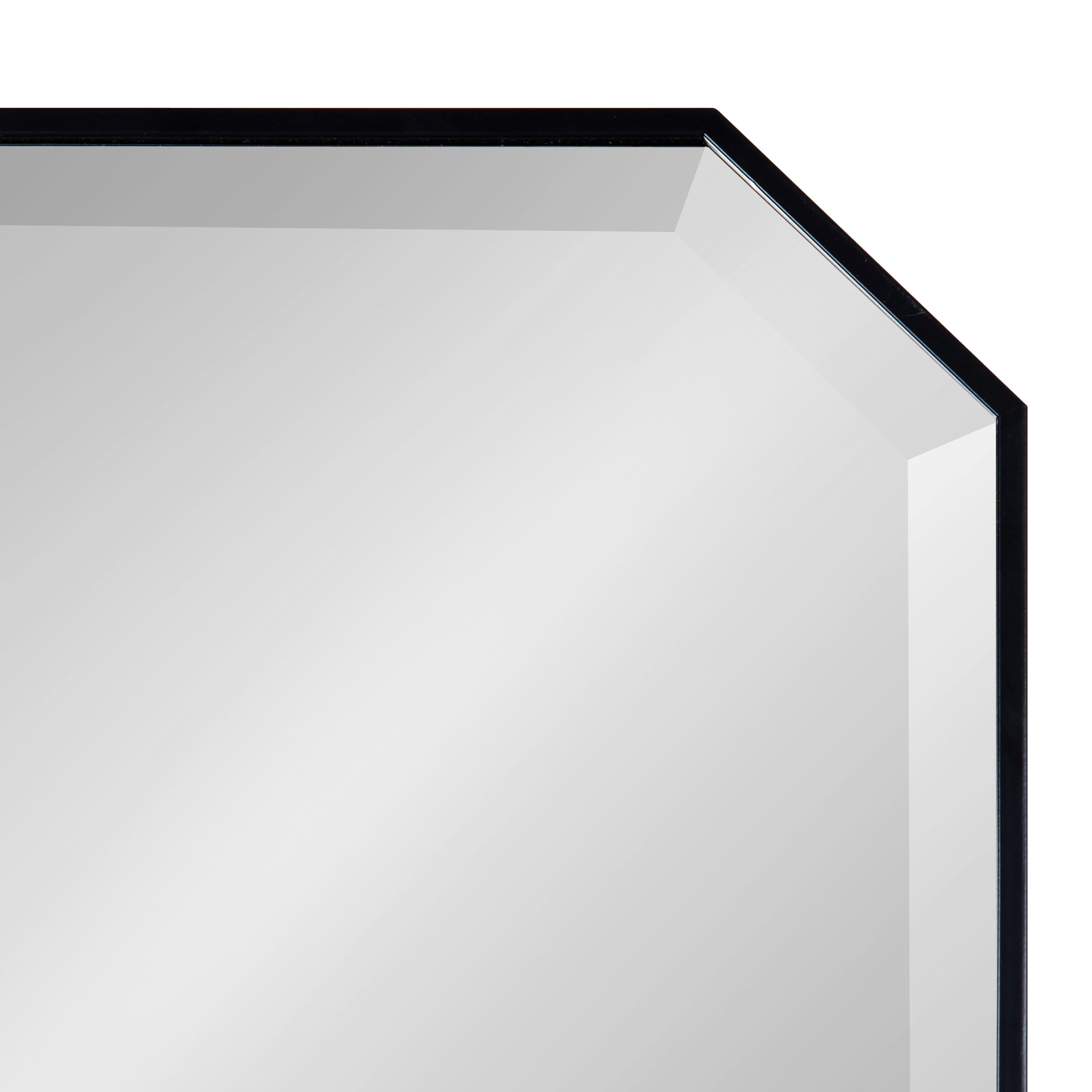 Full Length Mirror Black 16x48 3