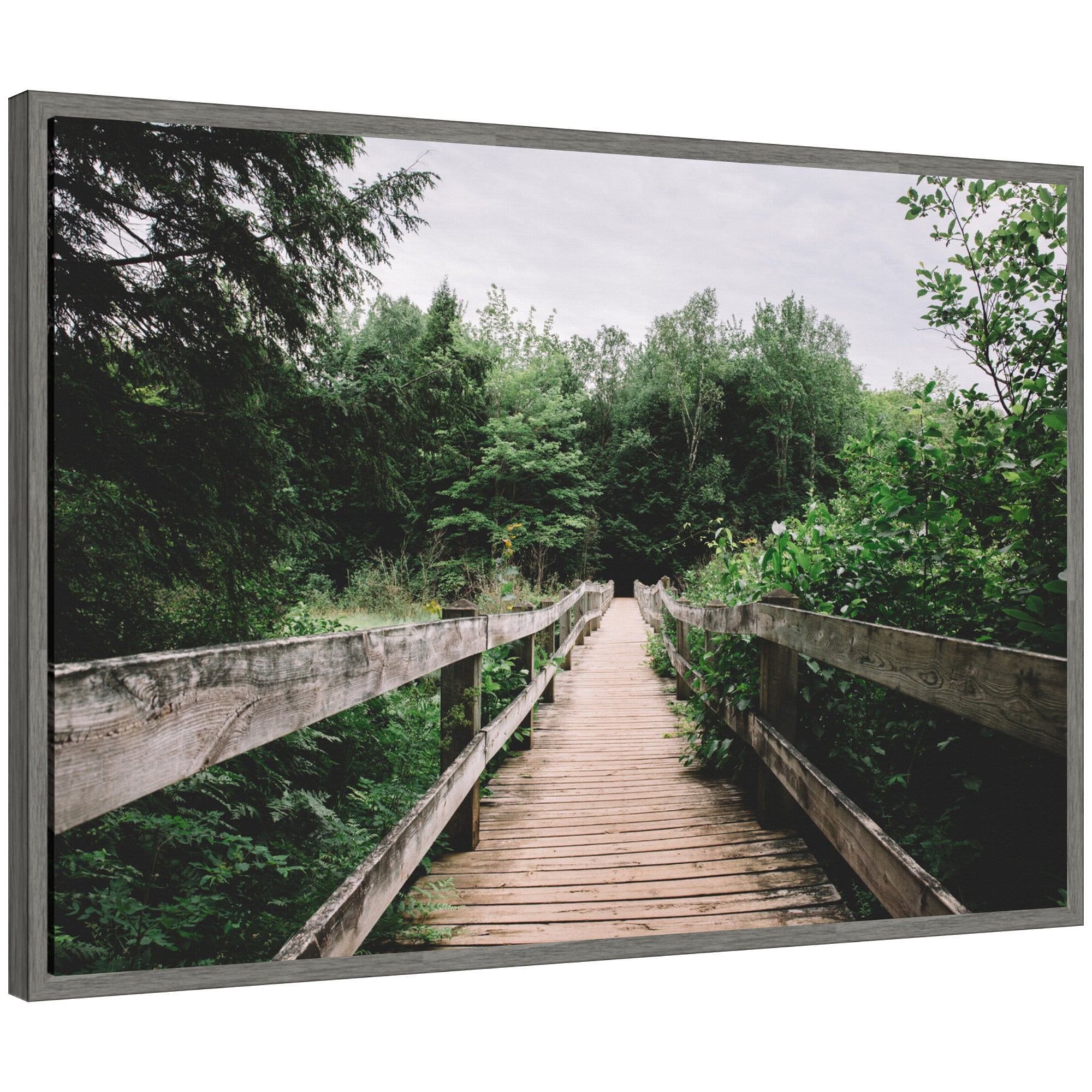 Sylvie Pathway to the Forest Landscape Framed Canvas by Patricia Hasz