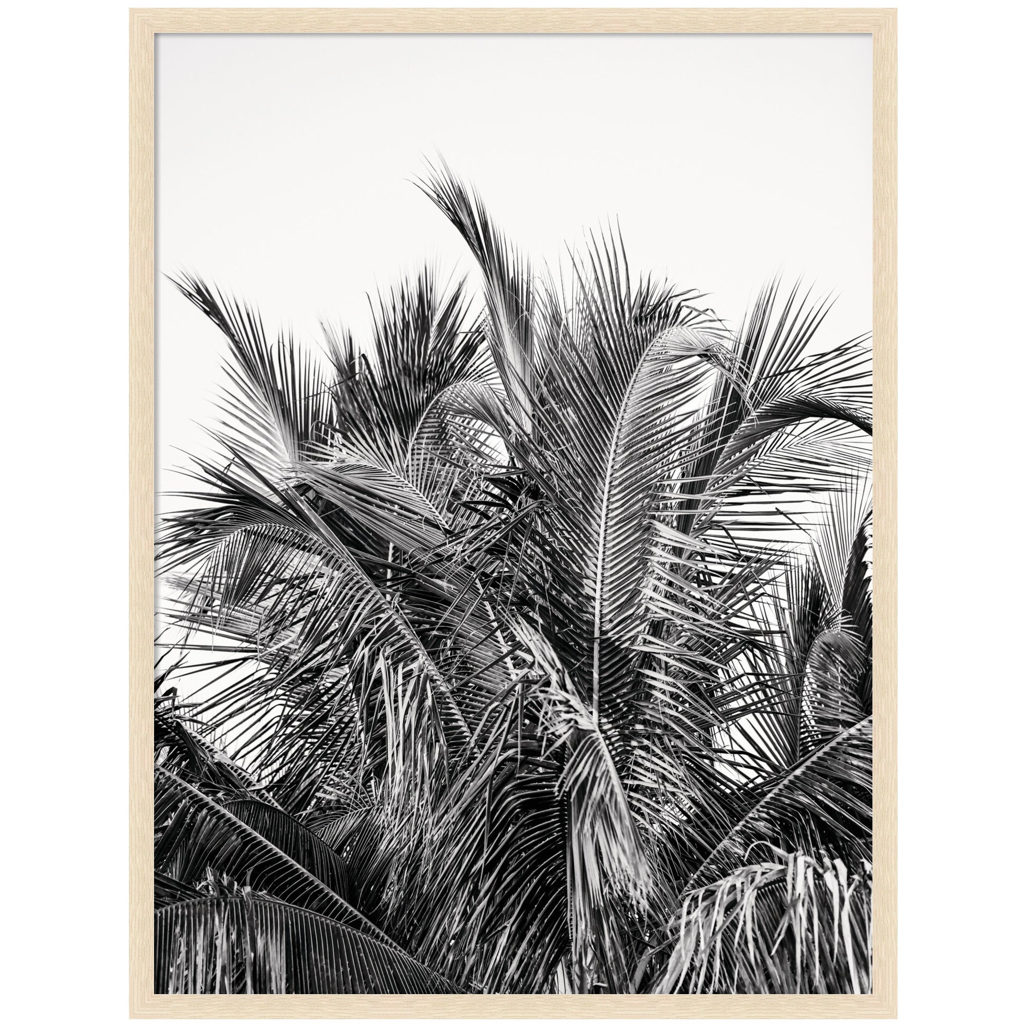No 13 by Alicia Bock Framed Wall Art Print