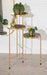 Plant Stand Walnut Brown 10x10x30 5