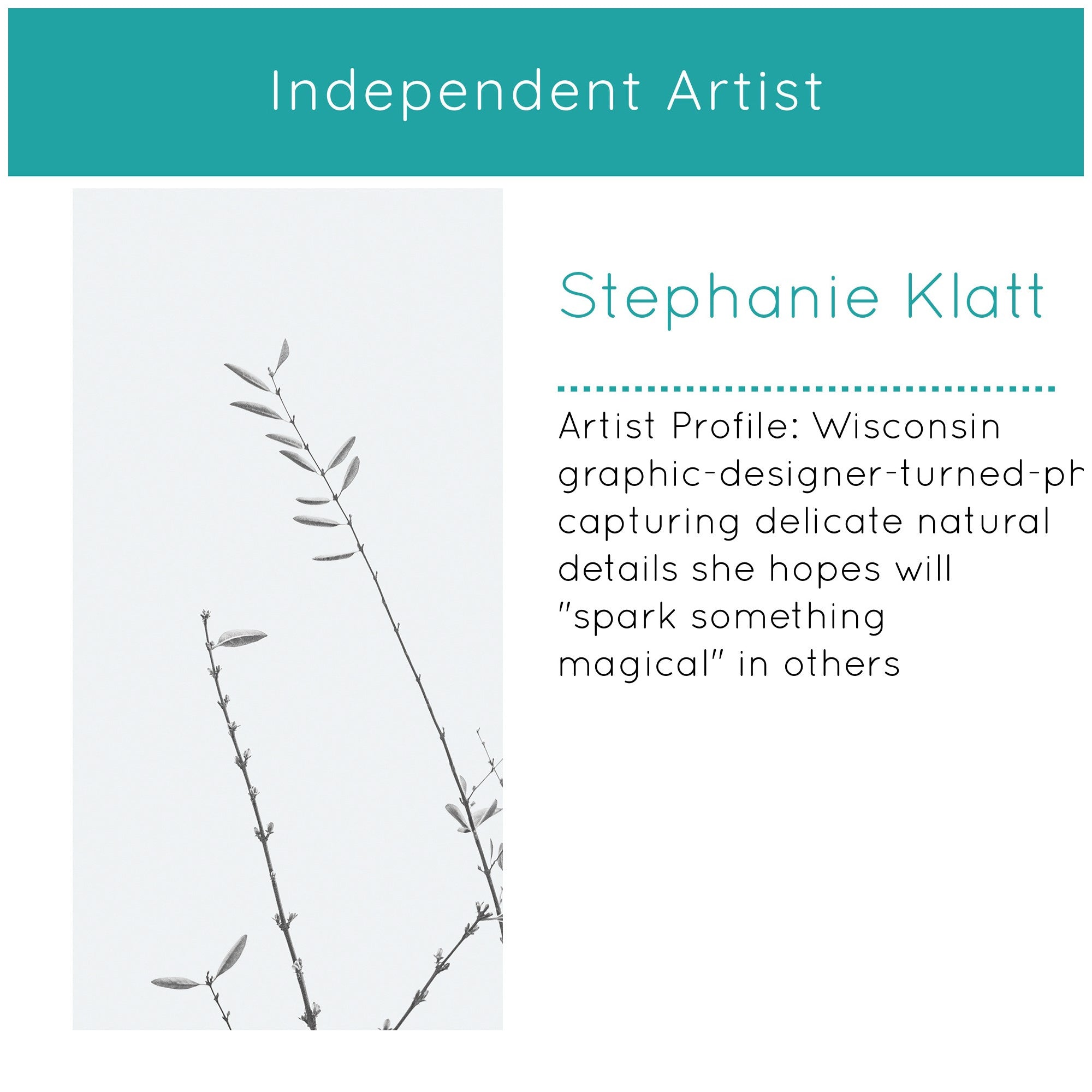 Art Set 3 Piece Set 18x24 Sylvie Walnut 6