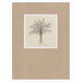 Mounted Canvas 19x25 Svelte White 1